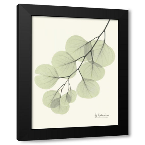 Eucalyptus Leaves in Green Black Modern Wood Framed Art Print with Double Matting by Koetsier, Albert