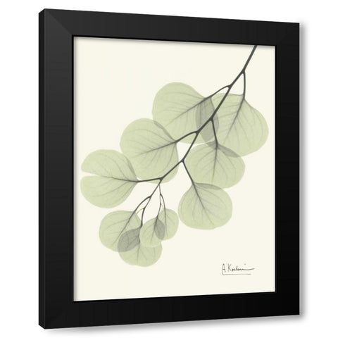 Eucalyptus Leaves in Green Black Modern Wood Framed Art Print by Koetsier, Albert