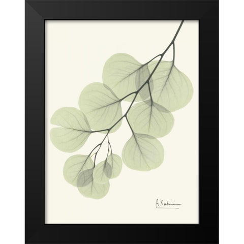 Eucalyptus Leaves in Green Black Modern Wood Framed Art Print by Koetsier, Albert