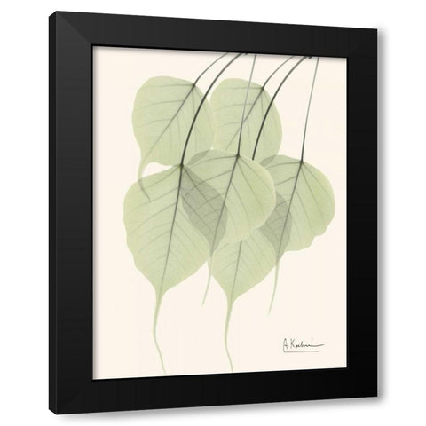 Bo Tree Leaves in Green Black Modern Wood Framed Art Print with Double Matting by Koetsier, Albert