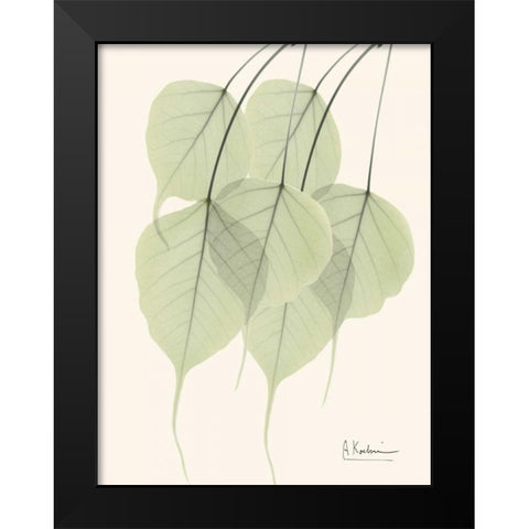 Bo Tree Leaves in Green Black Modern Wood Framed Art Print by Koetsier, Albert