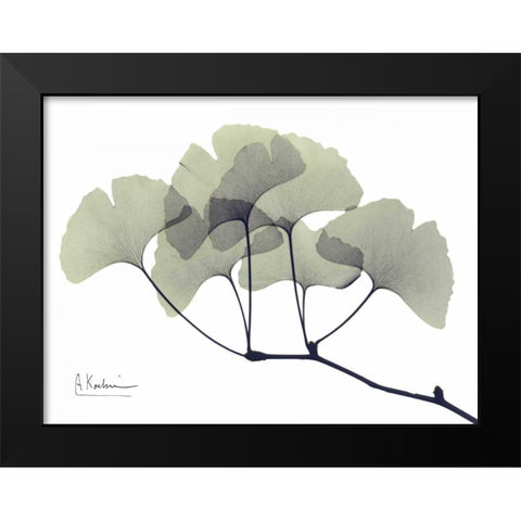 Gingko Leaves in Green Black Modern Wood Framed Art Print by Koetsier, Albert