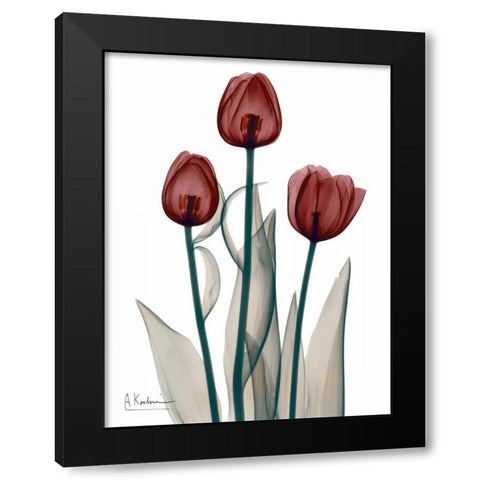 Early Tulips in Red Black Modern Wood Framed Art Print with Double Matting by Koetsier, Albert