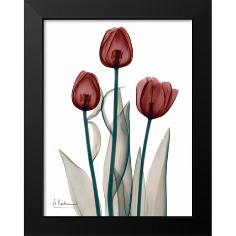 Early Tulips in Red Black Modern Wood Framed Art Print by Koetsier, Albert