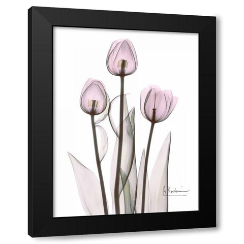 Early Tulips in Lavender Black Modern Wood Framed Art Print with Double Matting by Koetsier, Albert