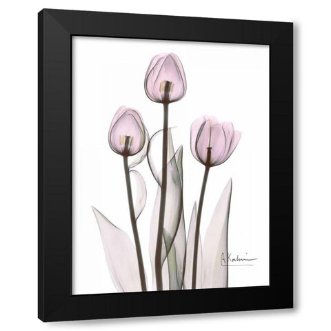 Early Tulips in Lavender Black Modern Wood Framed Art Print by Koetsier, Albert