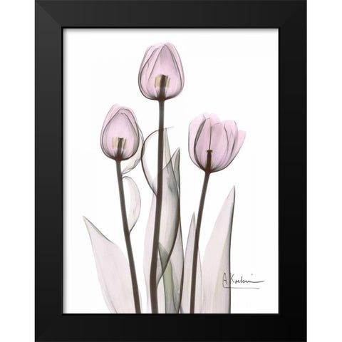 Early Tulips in Lavender Black Modern Wood Framed Art Print by Koetsier, Albert