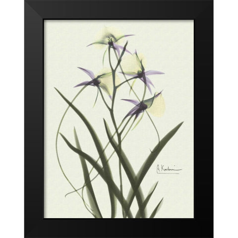 Orchids a Plenty in Purple on Beige Black Modern Wood Framed Art Print by Koetsier, Albert