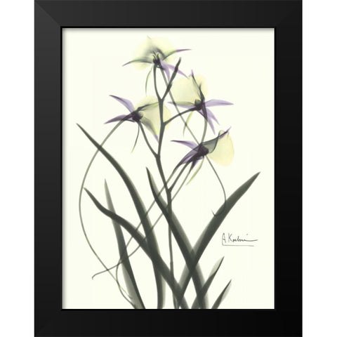 Orchids a Plenty in Purple and Yellow Black Modern Wood Framed Art Print by Koetsier, Albert
