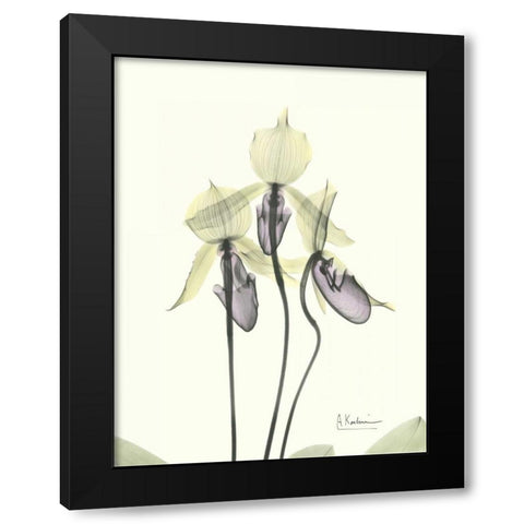 Lovely Orchids Black Modern Wood Framed Art Print with Double Matting by Koetsier, Albert