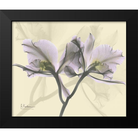 Beautiful Orchid in Purple on Beige Black Modern Wood Framed Art Print by Koetsier, Albert