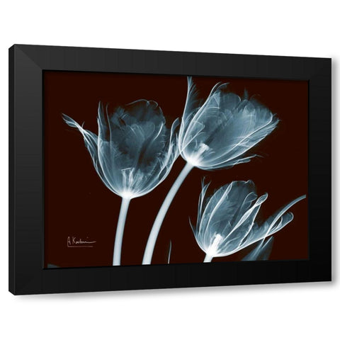 Tulips Blue on Red Black Modern Wood Framed Art Print with Double Matting by Koetsier, Albert