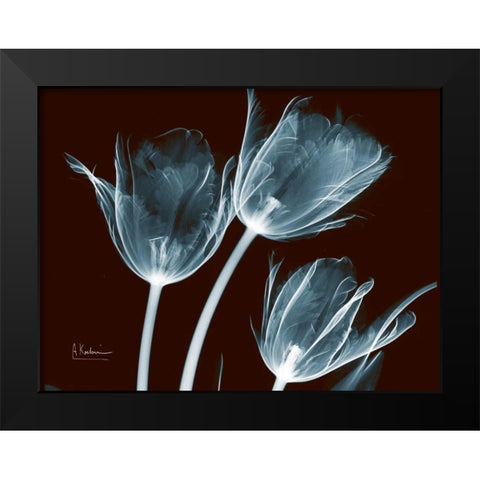 Tulips Blue on Red Black Modern Wood Framed Art Print by Koetsier, Albert