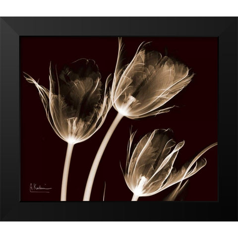 Tulips Brown on Red Black Modern Wood Framed Art Print by Koetsier, Albert