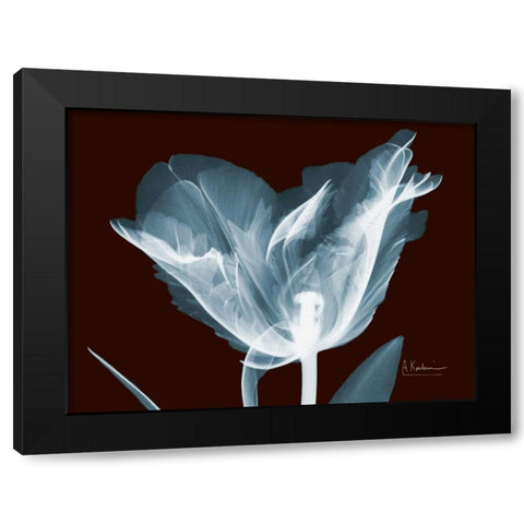 Single Tulip Blue on Red Black Modern Wood Framed Art Print with Double Matting by Koetsier, Albert