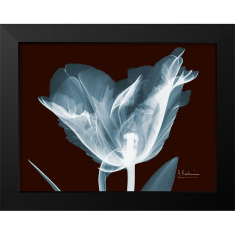 Single Tulip Blue on Red Black Modern Wood Framed Art Print by Koetsier, Albert