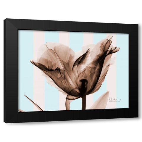Single Tulip Brown on Blue Black Modern Wood Framed Art Print with Double Matting by Koetsier, Albert
