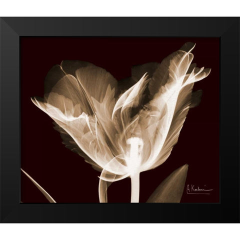 Single Tulip Brown on Red Black Modern Wood Framed Art Print by Koetsier, Albert