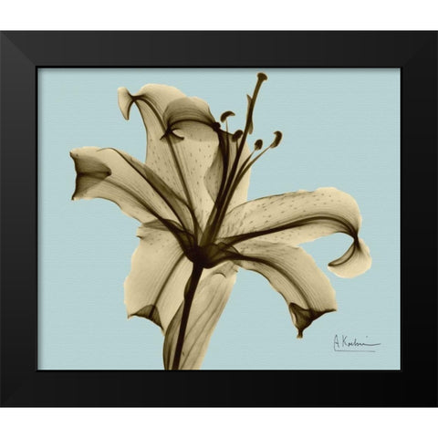 Single Lily Brown on Blue Black Modern Wood Framed Art Print by Koetsier, Albert