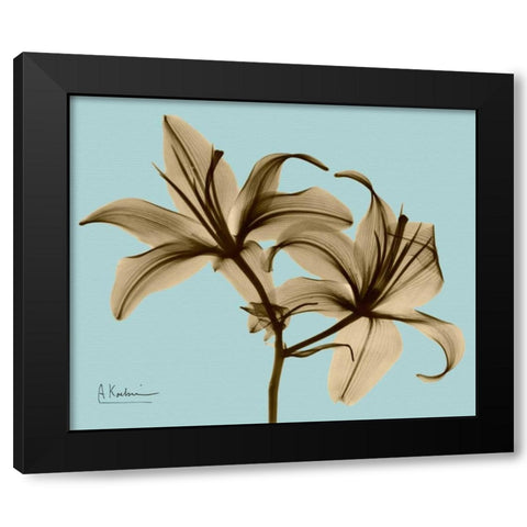 Double Lilies Brown on Blue Black Modern Wood Framed Art Print with Double Matting by Koetsier, Albert