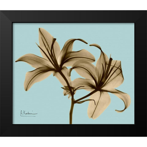 Double Lilies Brown on Blue Black Modern Wood Framed Art Print by Koetsier, Albert