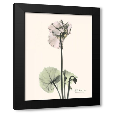 Single Cyclamen Black Modern Wood Framed Art Print with Double Matting by Koetsier, Albert