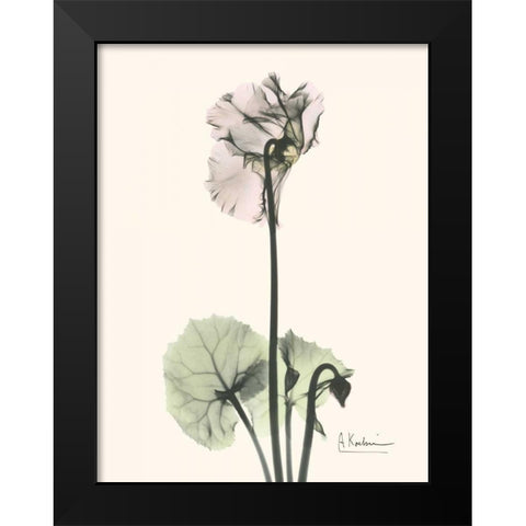 Single Cyclamen Black Modern Wood Framed Art Print by Koetsier, Albert