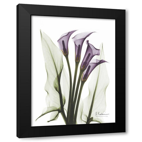 Calla Lily Quad in Color Black Modern Wood Framed Art Print by Koetsier, Albert