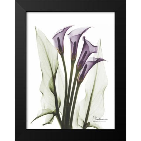 Calla Lily Quad in Color Black Modern Wood Framed Art Print by Koetsier, Albert