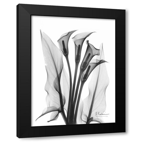 Calla Lily Quad in BandW Black Modern Wood Framed Art Print with Double Matting by Koetsier, Albert