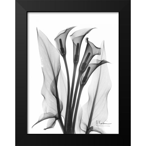 Calla Lily Quad in BandW Black Modern Wood Framed Art Print by Koetsier, Albert