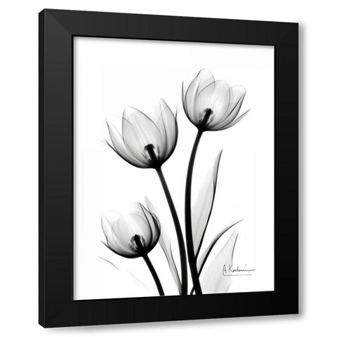Tulips High Contrast Black Modern Wood Framed Art Print with Double Matting by Koetsier, Albert