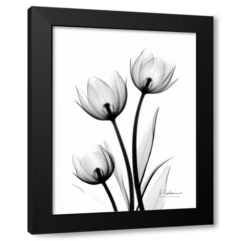 Tulips High Contrast Black Modern Wood Framed Art Print by Koetsier, Albert