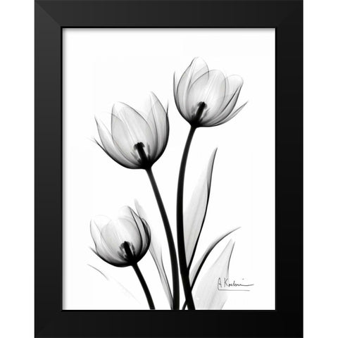 Tulips High Contrast Black Modern Wood Framed Art Print by Koetsier, Albert