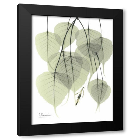 Bo Tree_L264 Black Modern Wood Framed Art Print with Double Matting by Koetsier, Albert