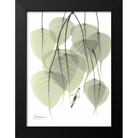 Bo Tree_L264 Black Modern Wood Framed Art Print by Koetsier, Albert