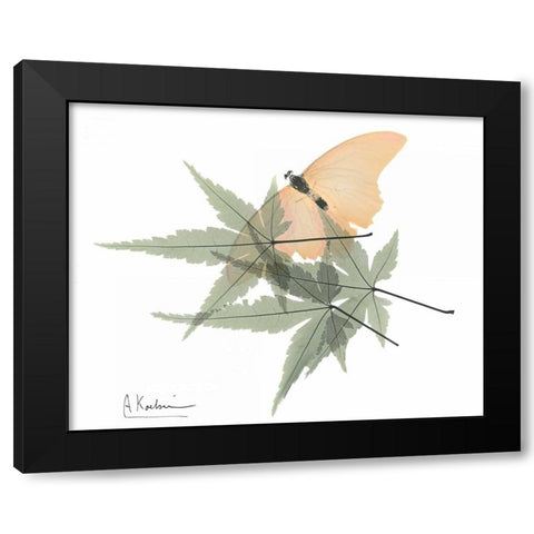 Gentle Explosion of Spring Black Modern Wood Framed Art Print with Double Matting by Koetsier, Albert