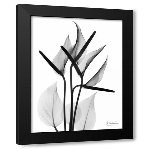 Flamingo Cq Black Modern Wood Framed Art Print with Double Matting by Koetsier, Albert