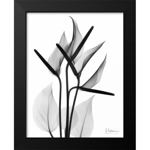 Flamingo Cq Black Modern Wood Framed Art Print by Koetsier, Albert