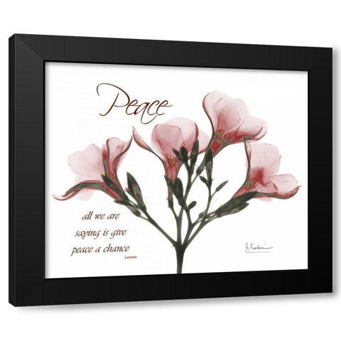 Oleander - Peace Black Modern Wood Framed Art Print with Double Matting by Koetsier, Albert