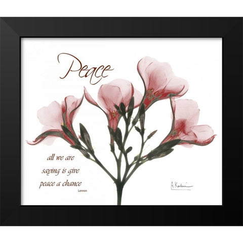 Oleander - Peace Black Modern Wood Framed Art Print by Koetsier, Albert