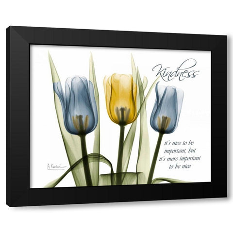 Tulip - Kindness Black Modern Wood Framed Art Print by Koetsier, Albert