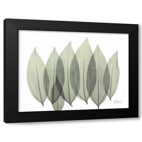 Coculus Leaf In Green Black Modern Wood Framed Art Print with Double Matting by Koetsier, Albert