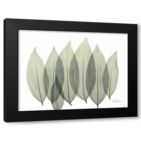 Coculus Leaf In Green Black Modern Wood Framed Art Print by Koetsier, Albert