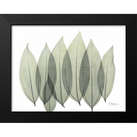 Coculus Leaf In Green Black Modern Wood Framed Art Print by Koetsier, Albert