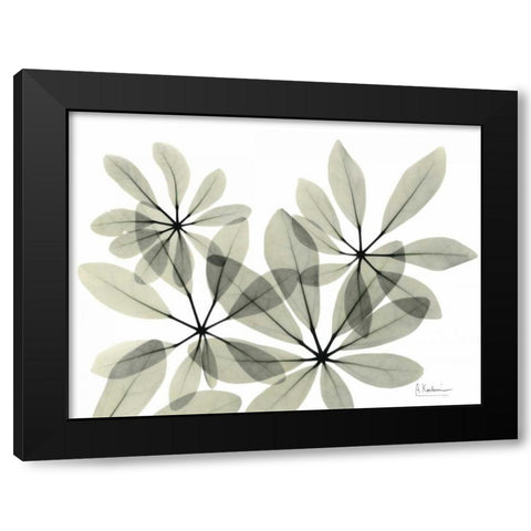 Scheffleur in Green Black Modern Wood Framed Art Print with Double Matting by Koetsier, Albert