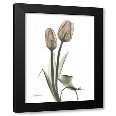 Tulip - Marjorie Black Modern Wood Framed Art Print with Double Matting by Koetsier, Albert