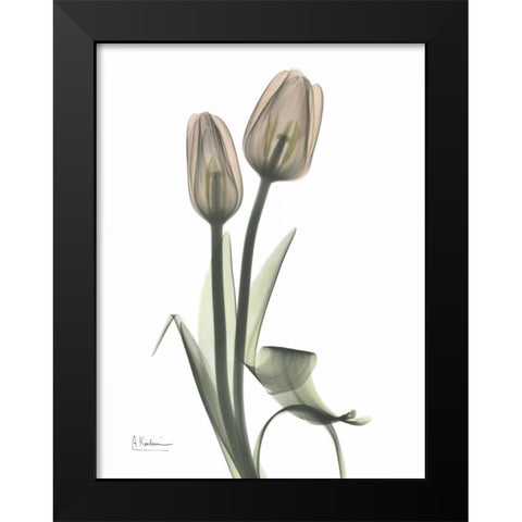 Tulip - Marjorie Black Modern Wood Framed Art Print by Koetsier, Albert