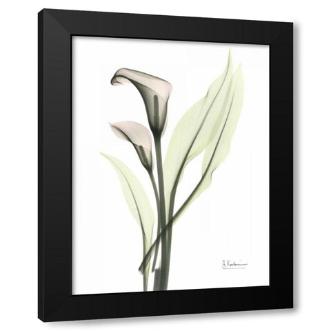 Calla - Marjorie Black Modern Wood Framed Art Print with Double Matting by Koetsier, Albert