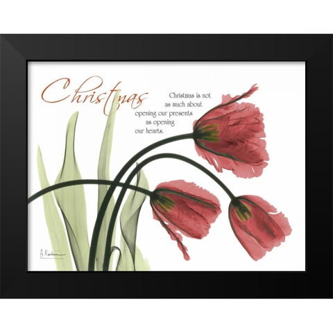 Christmas Tulips Black Modern Wood Framed Art Print by Koetsier, Albert